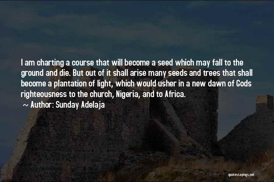 Seeds And Trees Quotes By Sunday Adelaja
