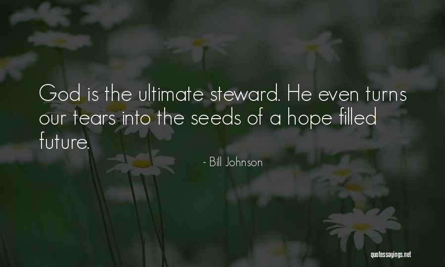 Seeds Of Hope Quotes By Bill Johnson