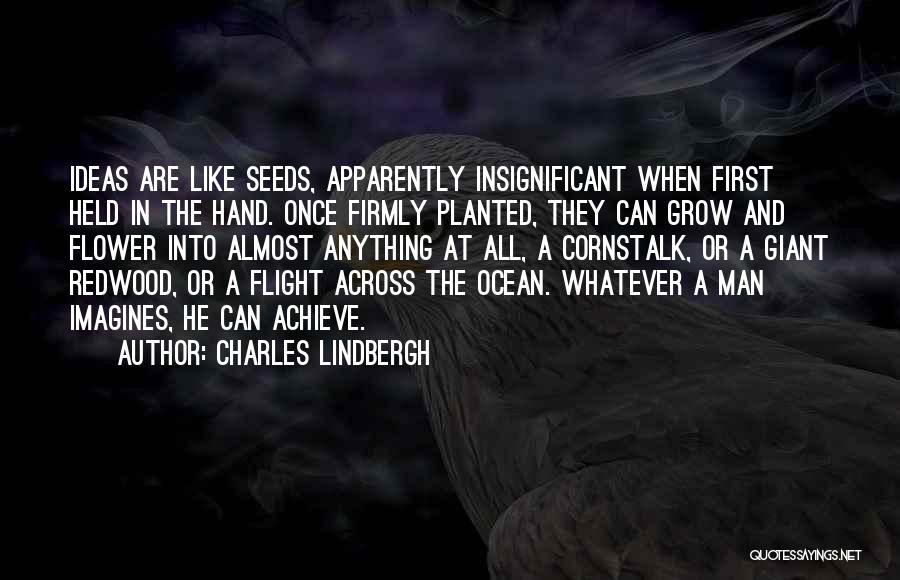 Seeds Planted Quotes By Charles Lindbergh