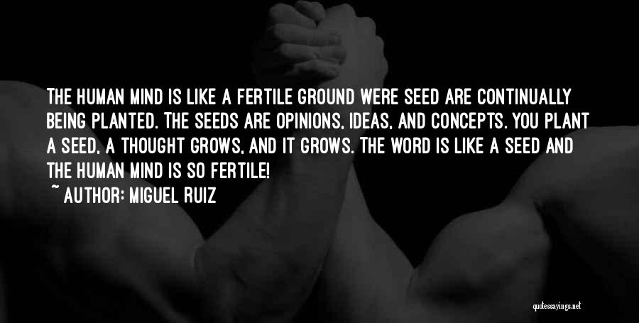 Seeds Planted Quotes By Miguel Ruiz