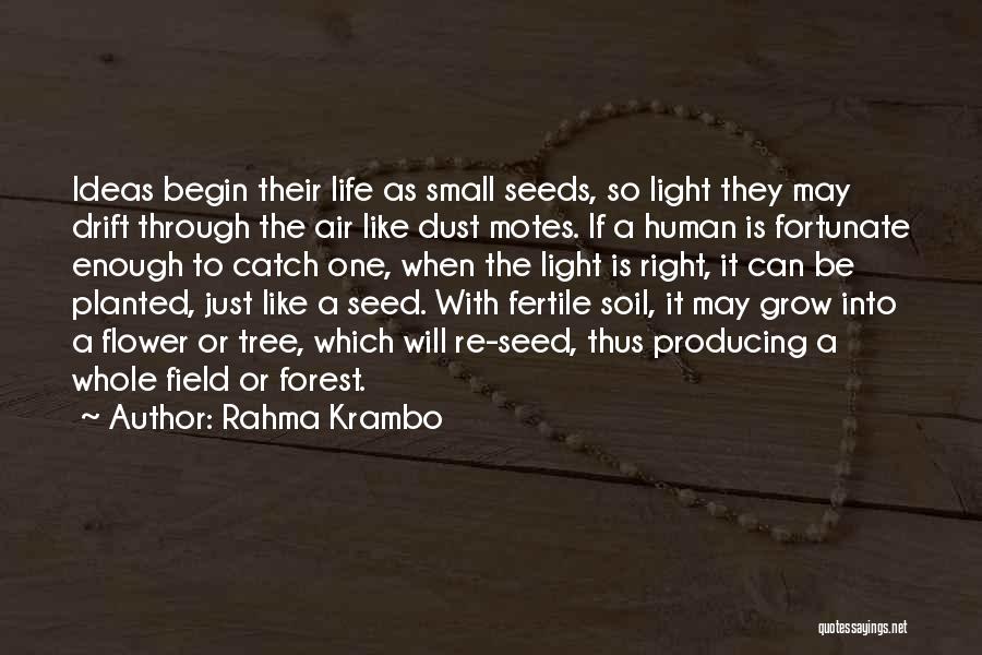 Seeds Planted Quotes By Rahma Krambo