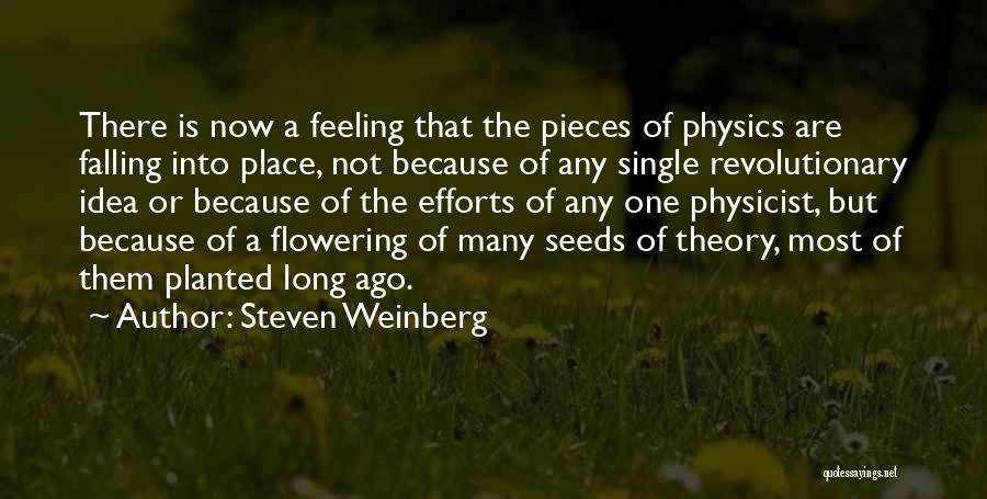 Seeds Planted Quotes By Steven Weinberg