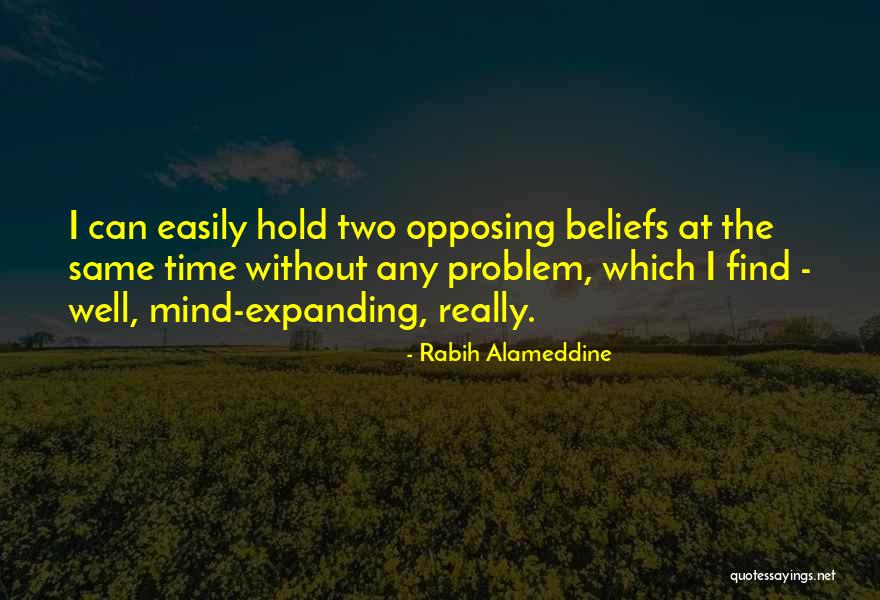 Seefeldt Quotes By Rabih Alameddine Seefeldt Quotes By Rabih Alameddine