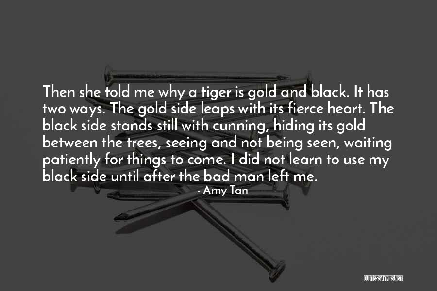 Seeing And Being Seen Quotes By Amy Tan Seeing And Being Seen Quotes By Amy Tan