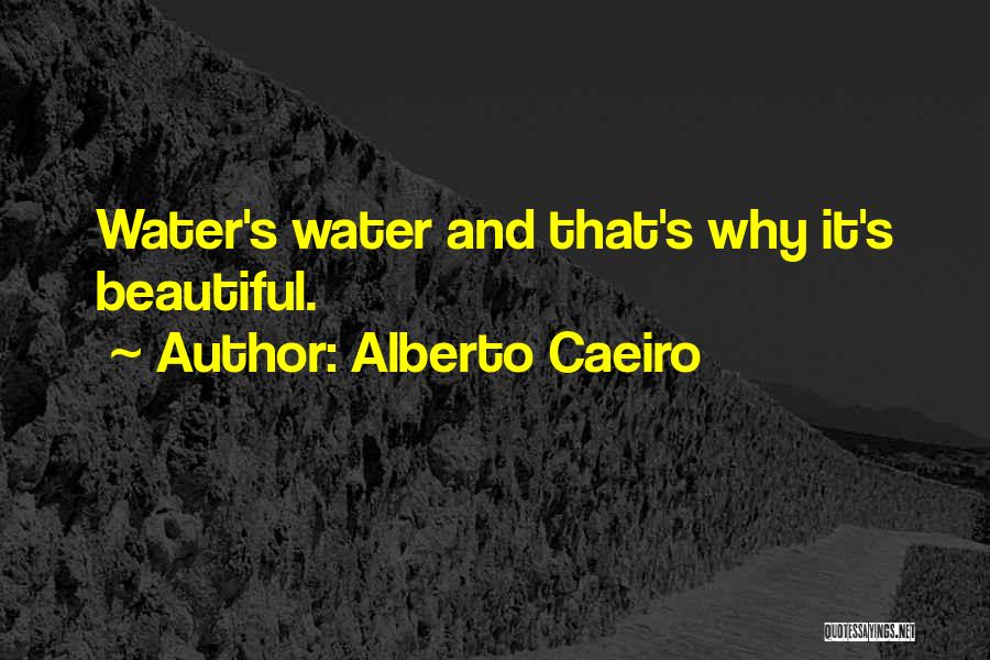 Seeing Beauty In Life Quotes By Alberto Caeiro