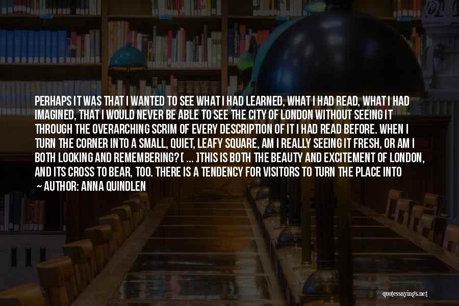 Seeing Beauty In Small Things Quotes By Anna Quindlen