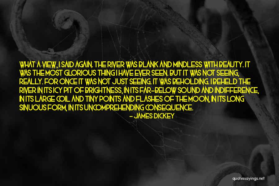 Seeing Beauty Quotes By James Dickey Seeing Beauty Quotes By James Dickey