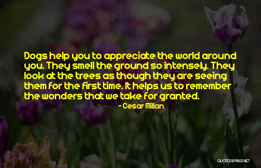 Seeing Dogs Quotes By Cesar Millan Seeing Dogs Quotes By Cesar Millan