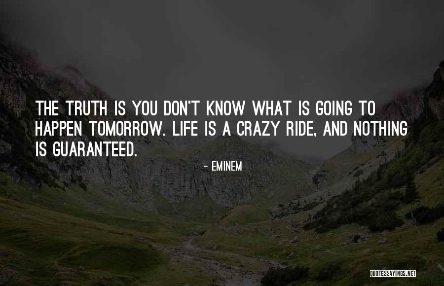 Seeing Dogs Quotes By Eminem Seeing Dogs Quotes By Eminem