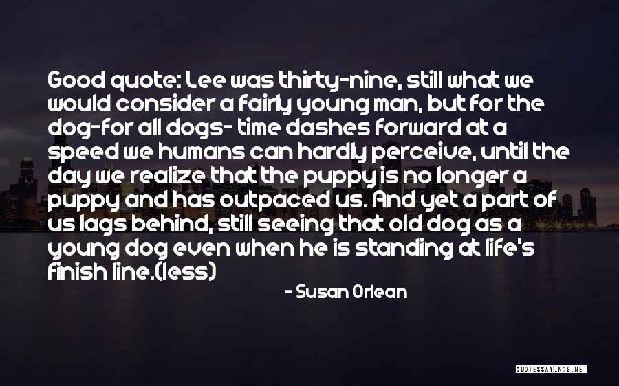 Seeing Dogs Quotes By Susan Orlean Seeing Dogs Quotes By Susan Orlean