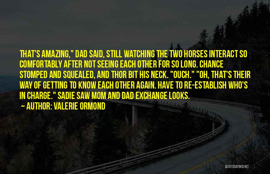 Seeing Each Other Again Quotes By Valerie Ormond