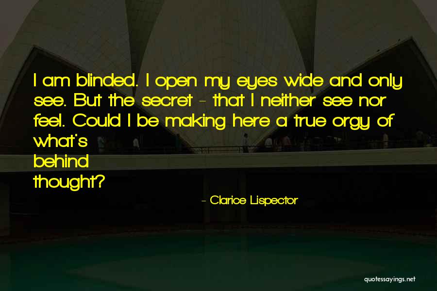 Seeing Eyes Quotes By Clarice Lispector Seeing Eyes Quotes By Clarice Lispector