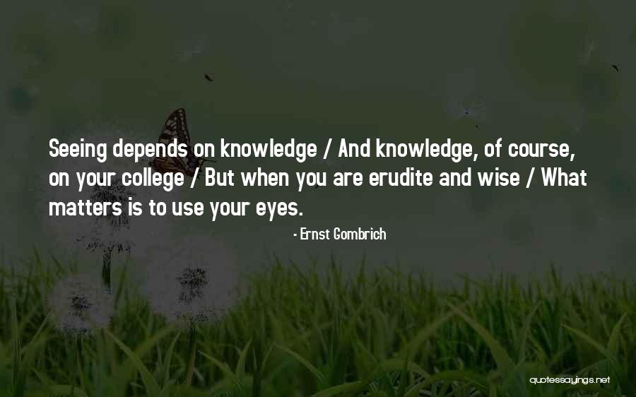 Seeing Eyes Quotes By Ernst Gombrich Seeing Eyes Quotes By Ernst Gombrich