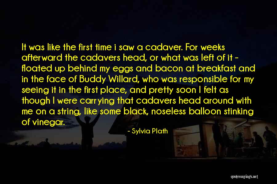Seeing For The First Time Quotes By Sylvia Plath Seeing For The First Time Quotes By Sylvia Plath