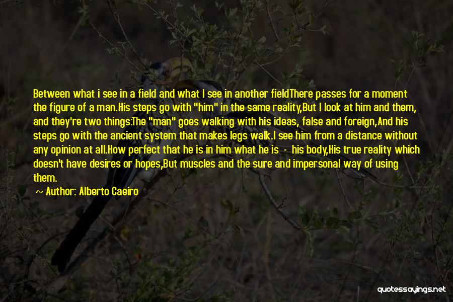 Seeing God In Nature Quotes By Alberto Caeiro