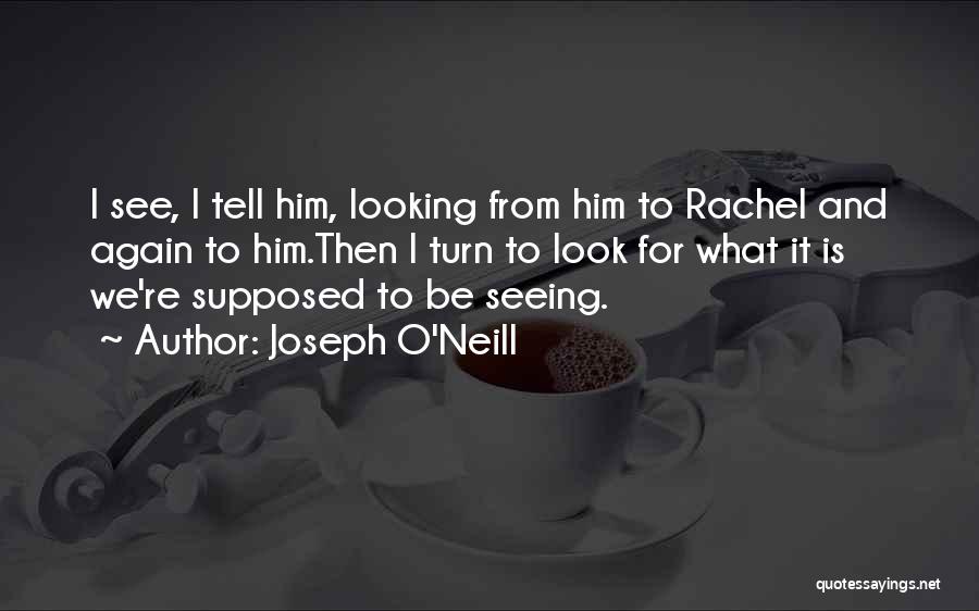 Seeing Him Again Quotes By Joseph O'Neill