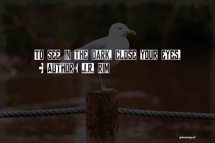 Seeing In The Dark Quotes By J.R. Rim