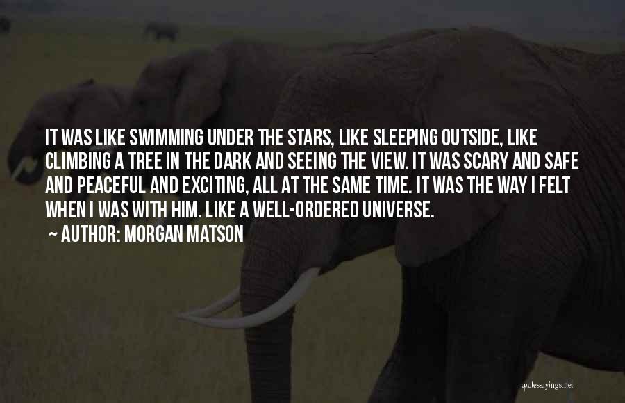 Seeing In The Dark Quotes By Morgan Matson
