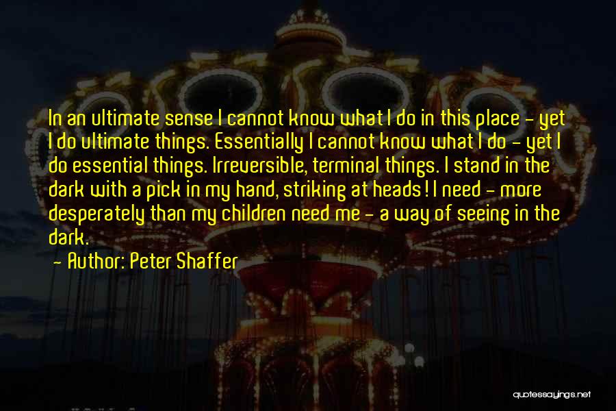 Seeing In The Dark Quotes By Peter Shaffer