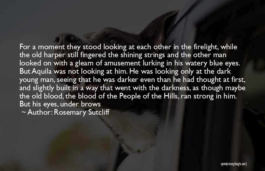 Seeing In The Dark Quotes By Rosemary Sutcliff