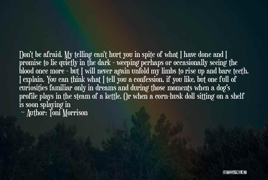 Seeing In The Dark Quotes By Toni Morrison
