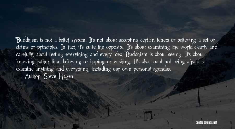 Seeing Is Believing Quotes By Steve Hagen