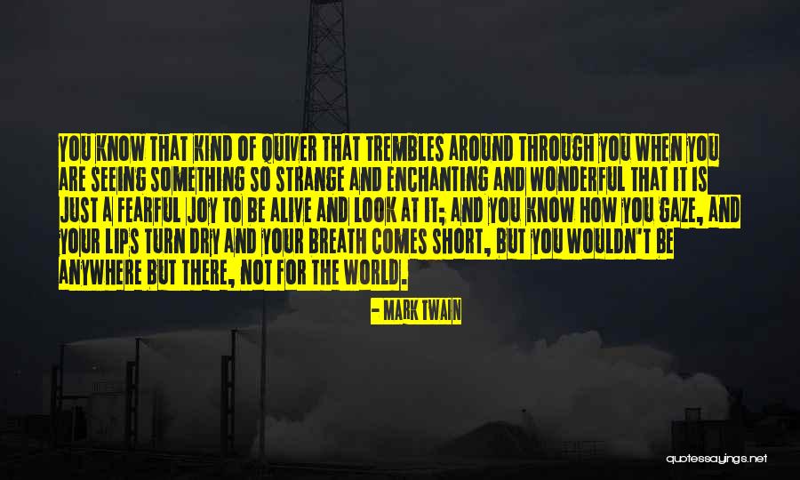 Seeing It Through Quotes By Mark Twain Seeing It Through Quotes By Mark Twain