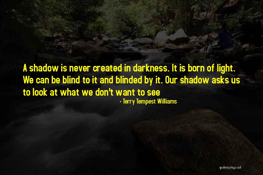 Seeing Light In Darkness Quotes By Terry Tempest Williams Seeing Light In Darkness Quotes By Terry Tempest Williams