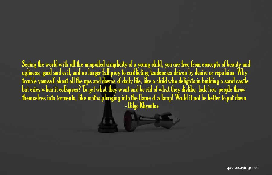 Seeing People For Who They Are Quotes By Dilgo Khyentse Seeing People For Who They Are Quotes By Dilgo Khyentse