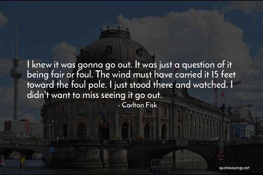 Seeing Someone You Miss Quotes By Carlton Fisk Seeing Someone You Miss Quotes By Carlton Fisk