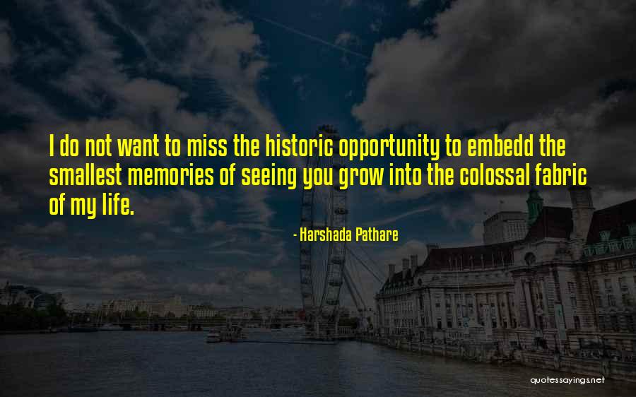 Seeing Someone You Miss Quotes By Harshada Pathare Seeing Someone You Miss Quotes By Harshada Pathare