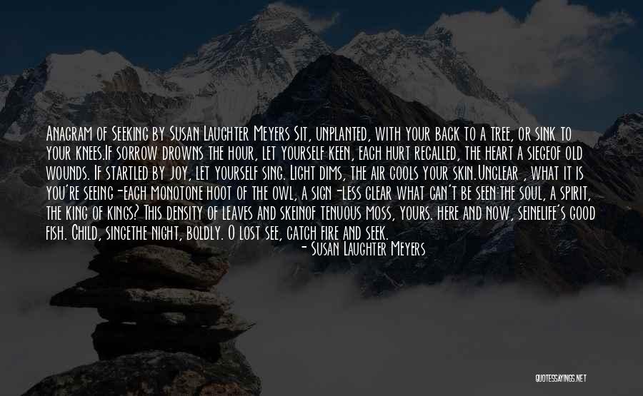 Seeing Someone's Soul Quotes By Susan Laughter Meyers