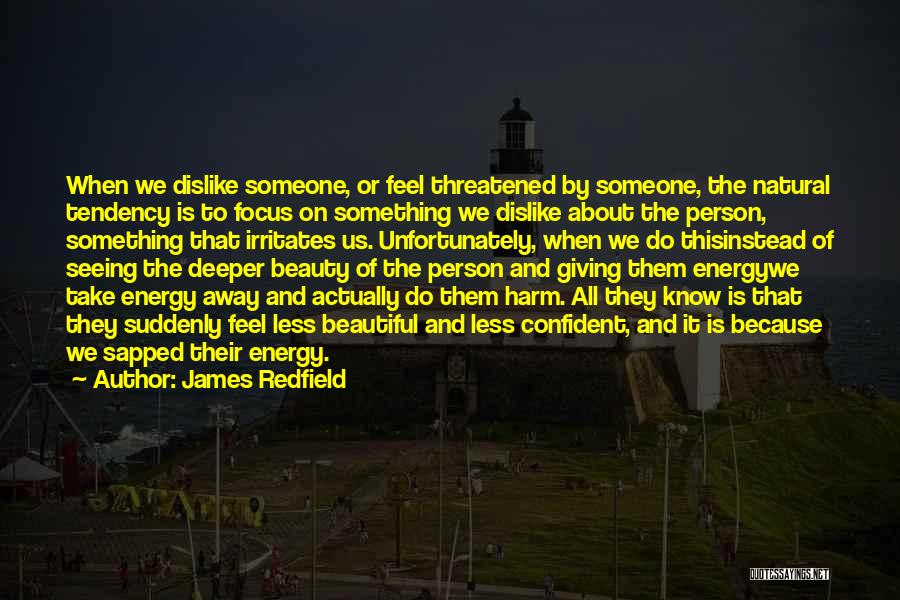 Seeing Something Beautiful Quotes By James Redfield