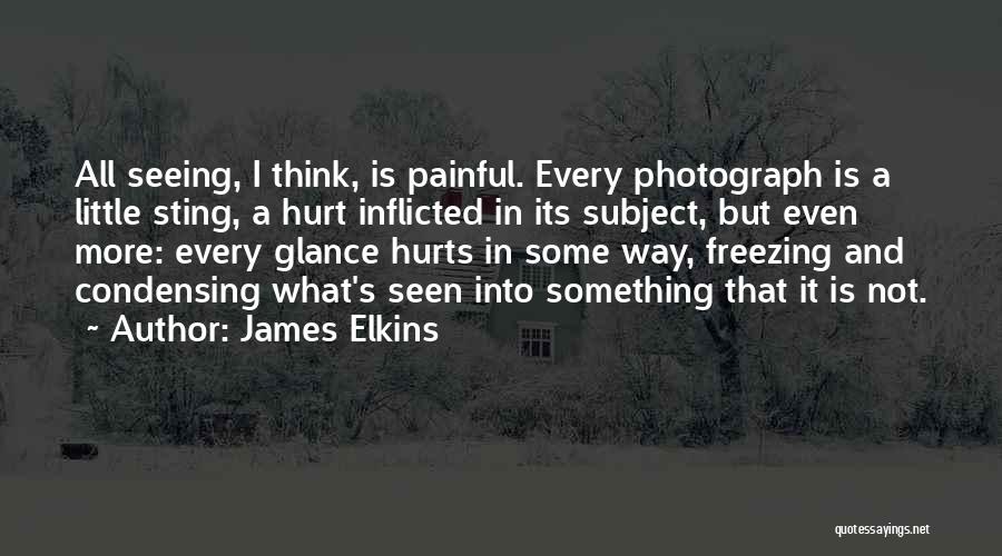 Seeing Something That Hurts Quotes By James Elkins