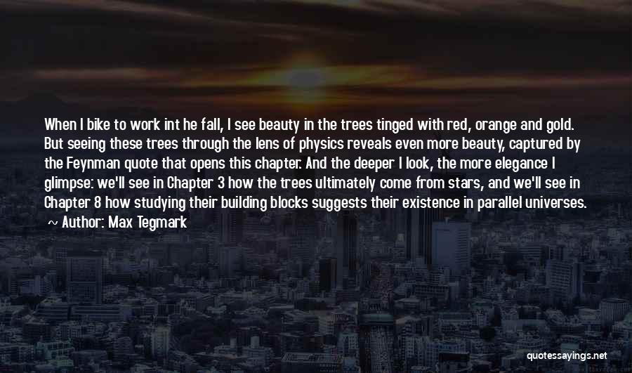 Seeing The Beauty In Others Quotes By Max Tegmark