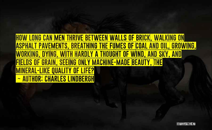 Seeing The Beauty Of Life Quotes By Charles Lindbergh