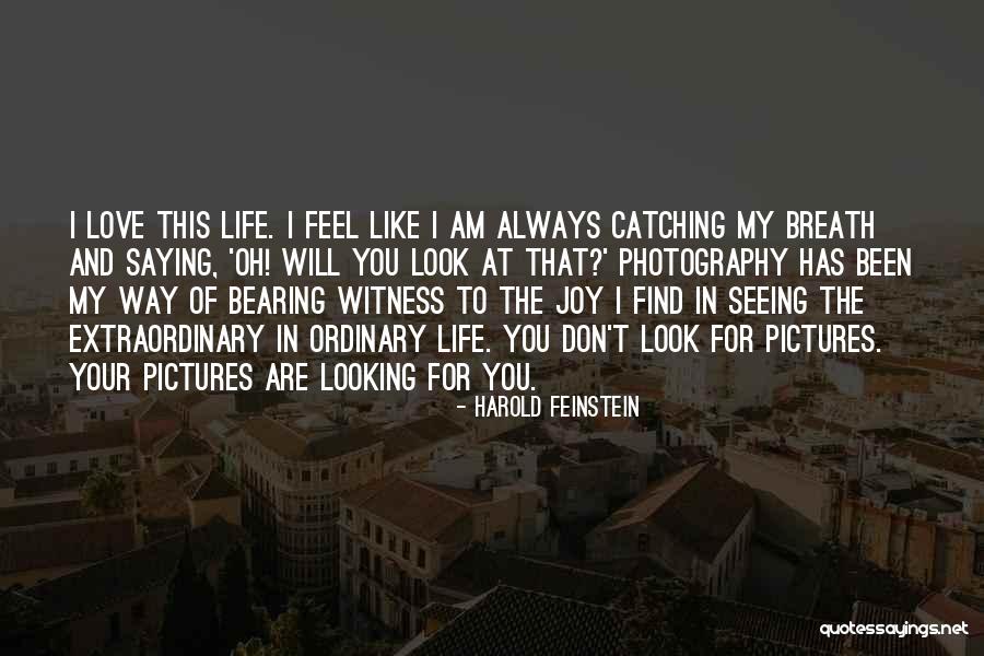 Seeing The Joy In Life Quotes By Harold Feinstein Seeing The Joy In Life Quotes By Harold Feinstein