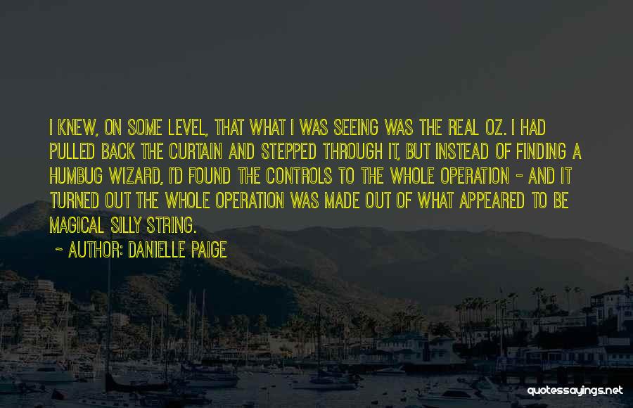 Seeing The Whole Quotes By Danielle Paige