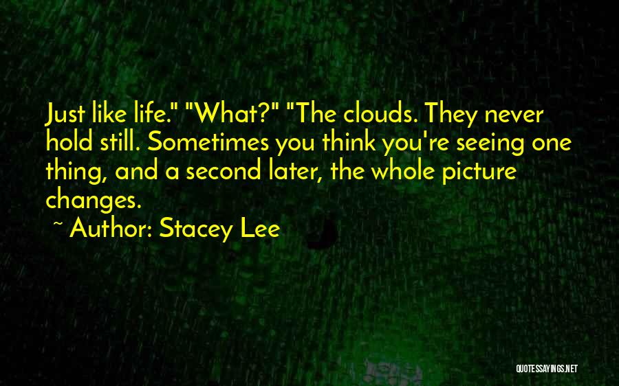 Seeing The Whole Quotes By Stacey Lee