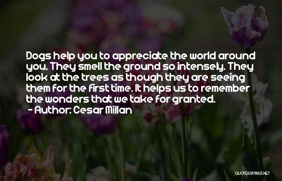 Seeing The World Around You Quotes By Cesar Millan