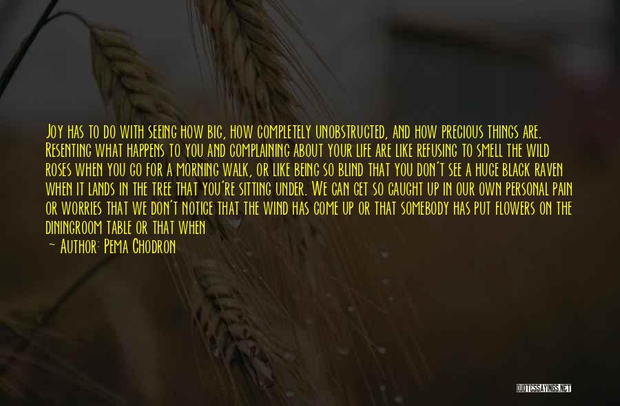 Seeing Things For What They Are Quotes By Pema Chodron