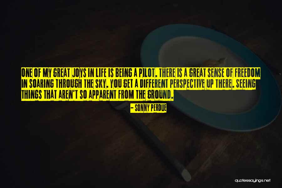 Seeing Things From A Different Perspective Quotes By Sonny Perdue Seeing Things From A Different Perspective Quotes By Sonny Perdue