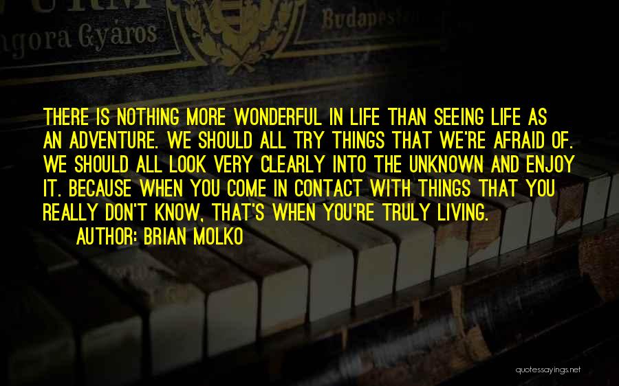 Seeing Things More Clearly Quotes By Brian Molko