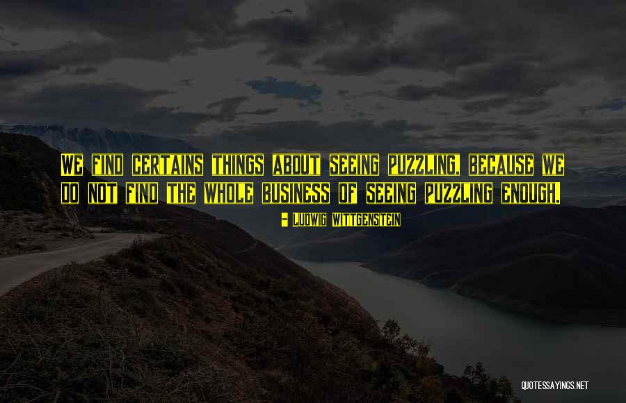 Seeing Things Quotes By Ludwig Wittgenstein Seeing Things Quotes By Ludwig Wittgenstein