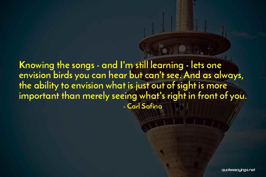 Seeing What's In Front Of You Quotes By Carl Safina