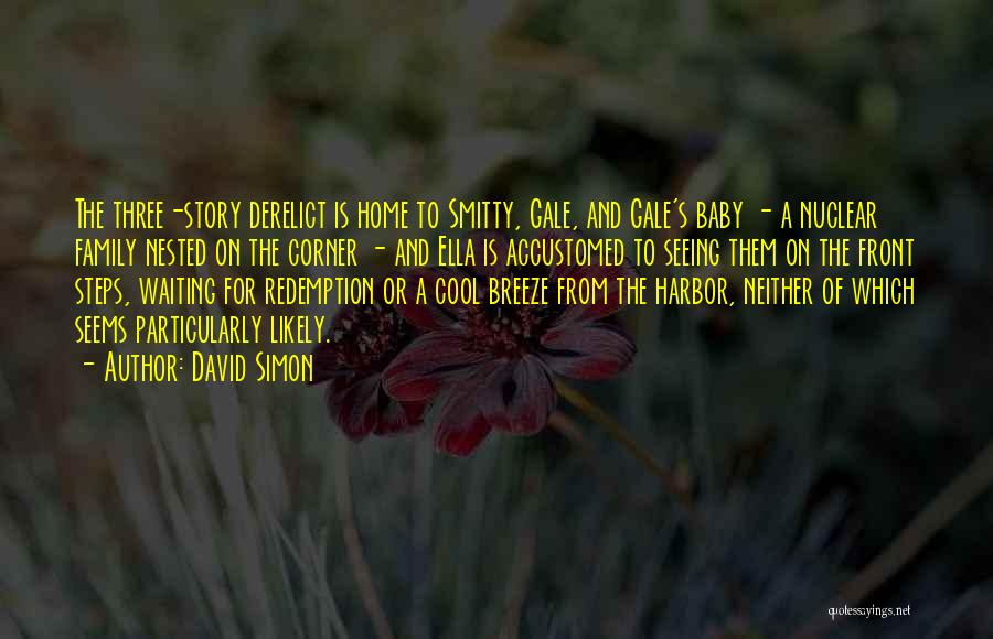 Seeing What's In Front Of You Quotes By David Simon