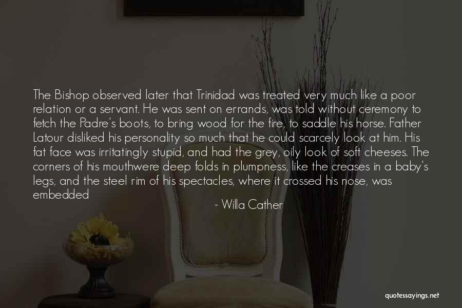 Seeing Your Face Again Quotes By Willa Cather