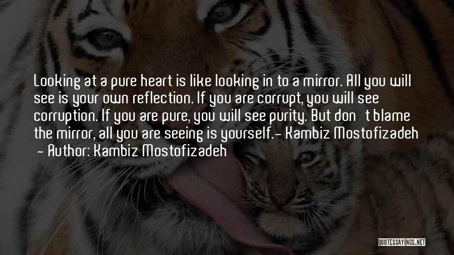 Seeing Your Own Reflection Quotes By Kambiz Mostofizadeh