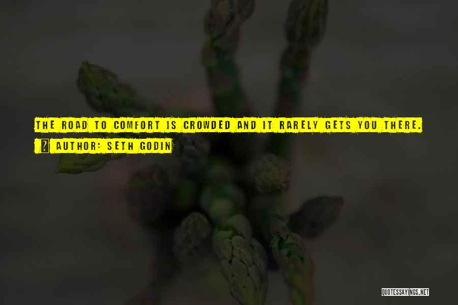 Seek Discomfort Quotes By Seth Godin