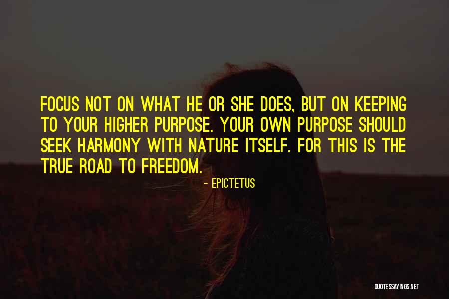 Seek Harmony Quotes By Epictetus Seek Harmony Quotes By Epictetus